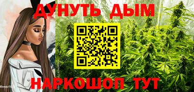 крисы Гусиноозёрск