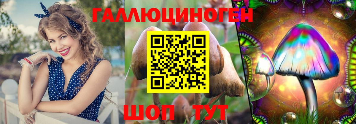 Моздок  Галлюциногенные грибы мухоморы  Вход с VPN 
